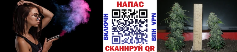 Бошки марихуана Amnesia  Чайковский 